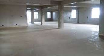 Commercial Office Space 10000 Sq.Ft. For Rent In Lavelle Road Bangalore 6450326