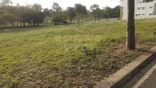 Plot For Resale in Dlf Phase ii Gurgaon  6450982