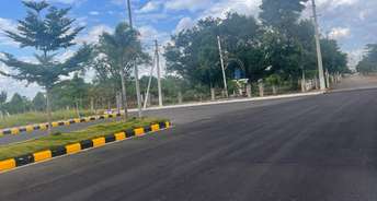  Plot For Resale in Pearl City Kadthal Kadthal Hyderabad 6450964