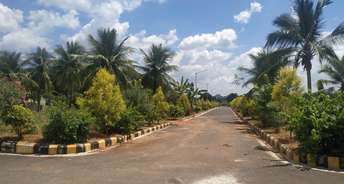  Plot For Resale in Pearl City Kadthal Kadthal Hyderabad 6451009