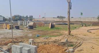  Plot For Resale in Dlf City Phase 3 Gurgaon 6451061
