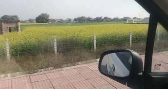 Commercial Land 13610 Sq.Ft. For Resale In Sultanpur Road Lucknow 6451178