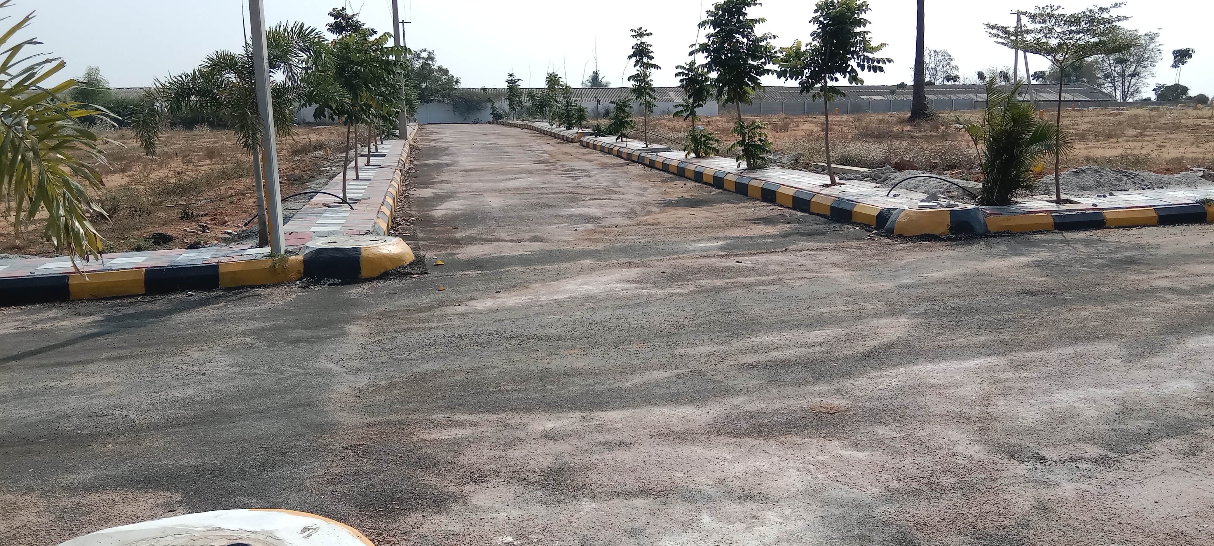 Plot For Resale in Narapally Hyderabad  6451297