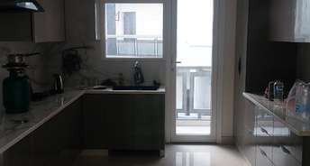 4 BHK Builder Floor For Rent in East of Kailash A Block RWA East Of Kailash Delhi 6451660