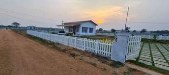 2 BHK Independent House For Resale in Yadagirigutta Hyderabad 6451668