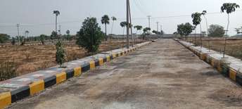  Plot For Resale in Kachiguda Hyderabad 6451903