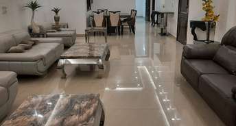 4 BHK Builder Floor For Rent in RWA Greater Kailash 2 Greater Kailash ii Delhi 6451958