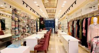 Commercial Shop 1000 Sq.Ft. For Rent In Rani Bagh Delhi 6452068