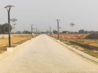  Plot For Resale in Sector 77 Faridabad 6452378