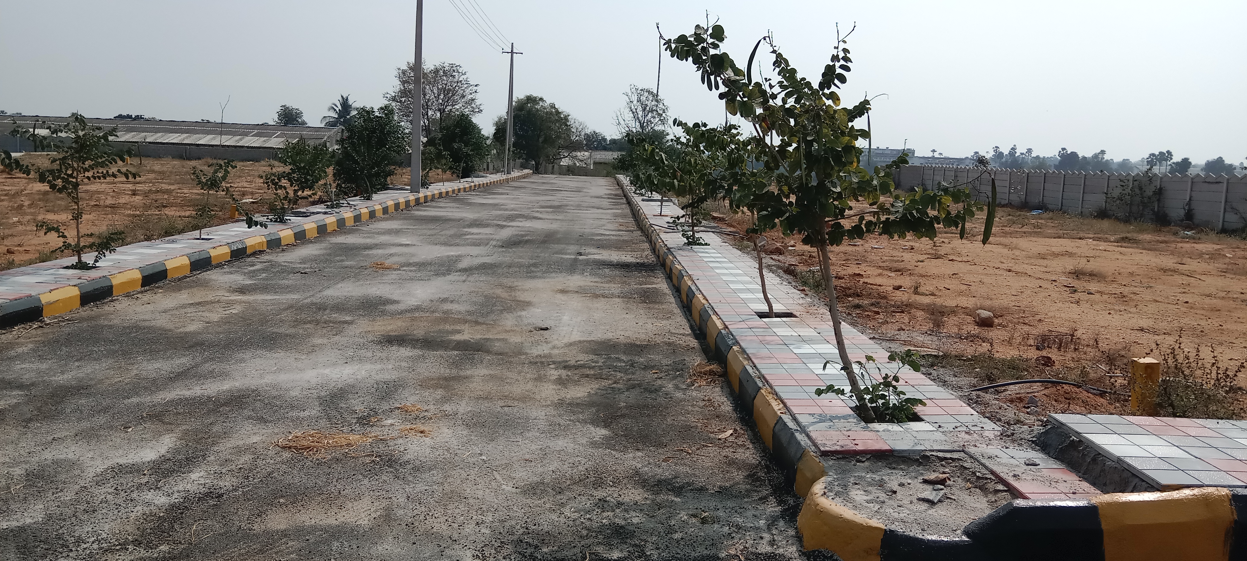 Plot For Resale in Taramatipet Hyderabad  6452408