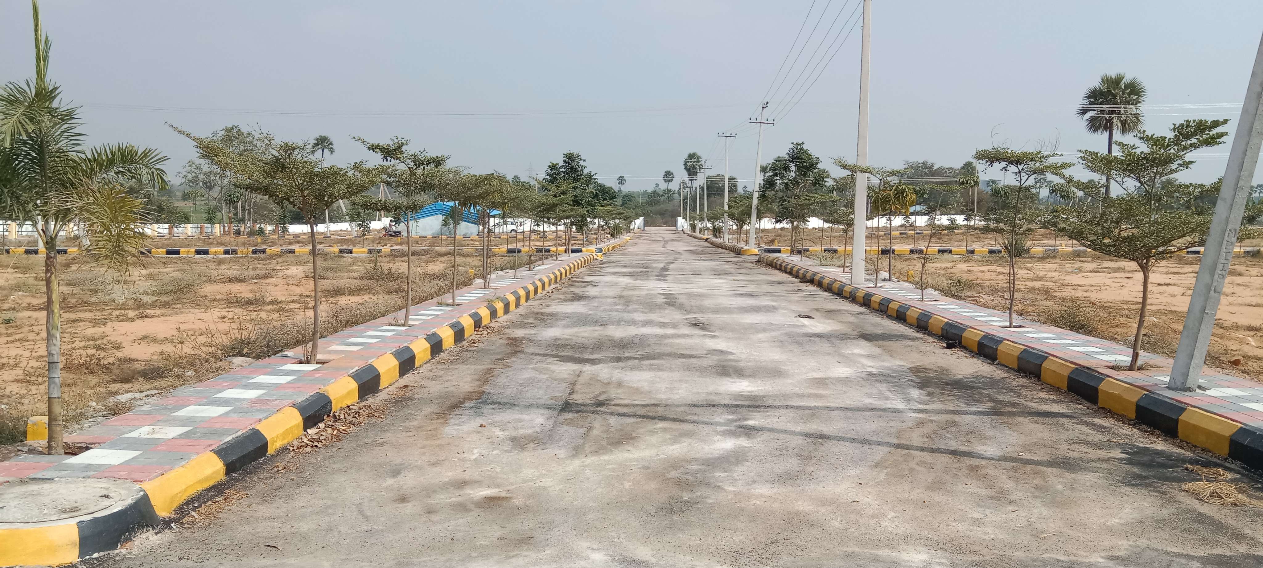  Plot For Resale in Bank Street Hyderabad 6452422