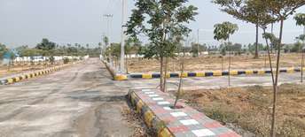 Plot For Resale in Old Malakpet Hyderabad  6452453