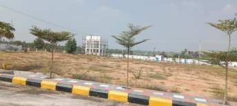  Plot For Resale in Banjara Hills Hyderabad 6452457