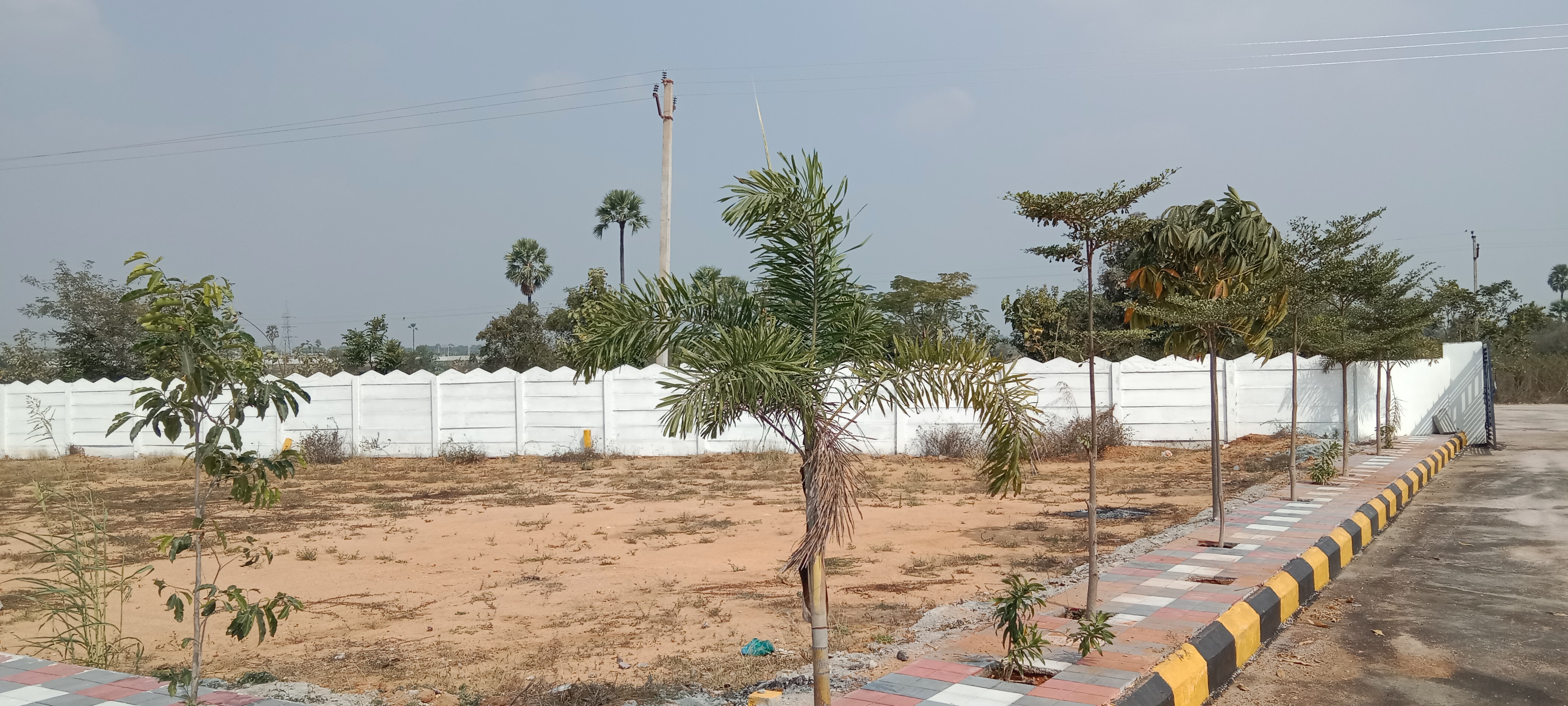  Plot For Resale in Bandlaguda Jagir Hyderabad 6452586