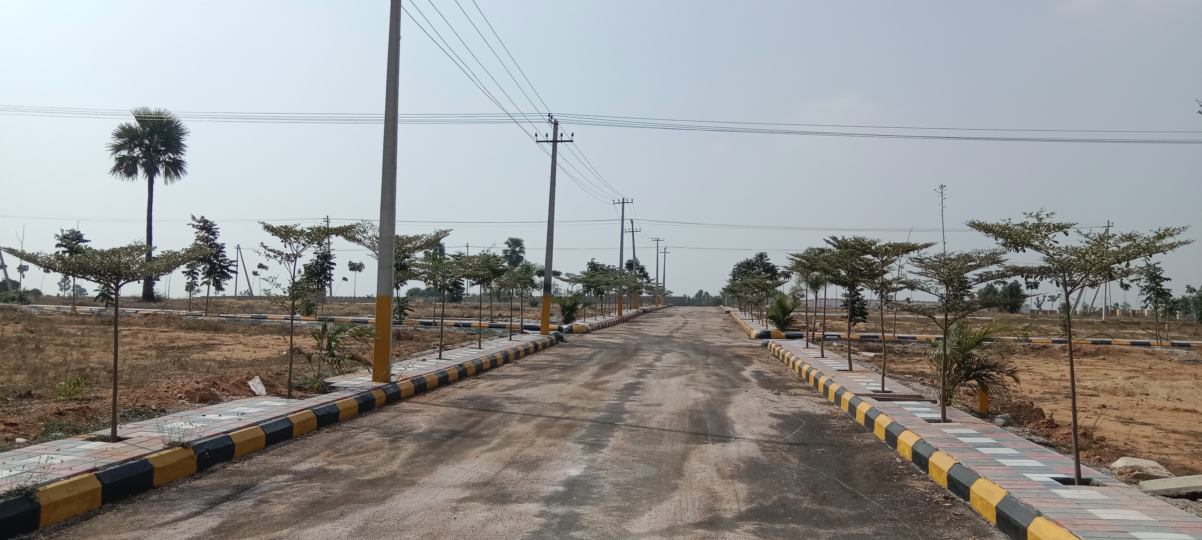 Plot For Resale in Manorabad Hyderabad  6452630