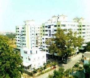 3 BHK Apartment For Rent in Venkatesh Flora Phase II Mundhwa Pune 6452748