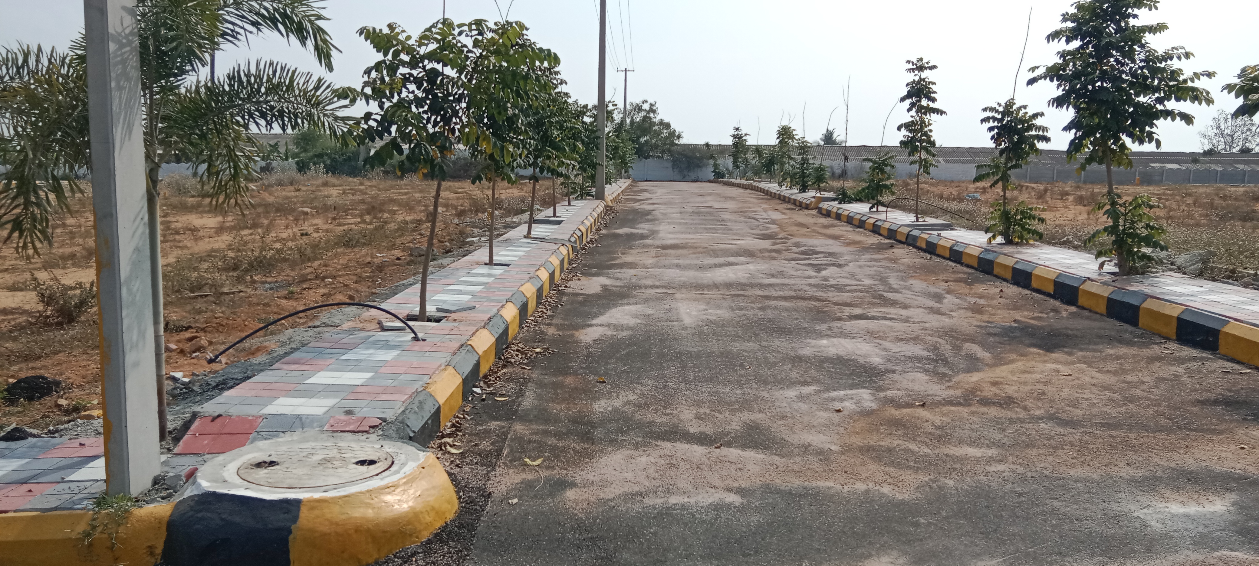 Plot For Resale in Kompally Hyderabad  6453202