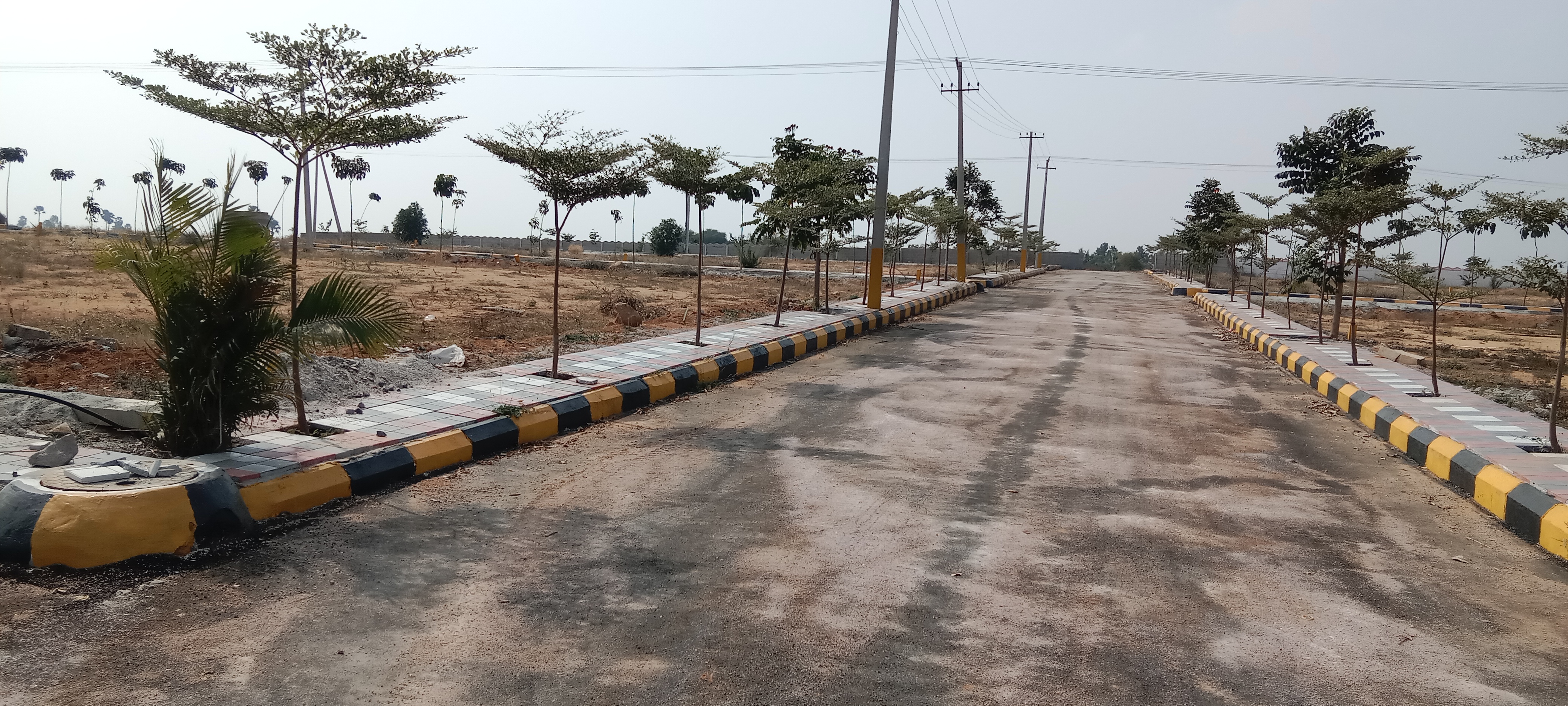 Plot For Resale in Suchitra Road Hyderabad  6453262