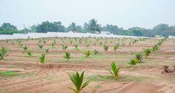 Commercial Land 1393 Sq.Ft. For Resale In Kinathukadavu Coimbatore 6453310