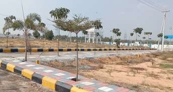  Plot For Resale in Ou Colony Hyderabad 6453482