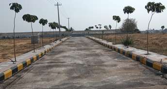  Plot For Resale in Parama Reddy Hills Hyderabad 6453637
