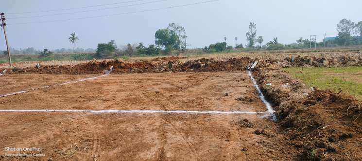 Suvidha Farm Site, Chinna Shivnoor
