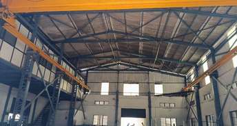 Commercial Warehouse 20000 Sq.Ft. For Rent In Bhosari Pune 6454209