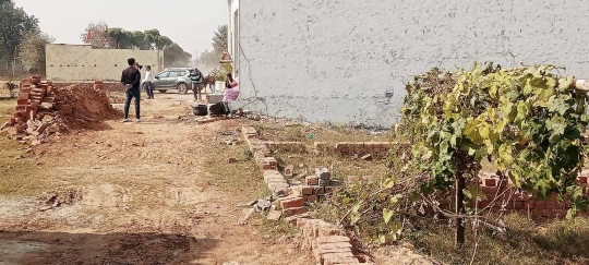 Plot For Resale in Bhopani Village Faridabad  6454848