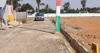  Plot For Resale in Anekal Bangalore 6454996