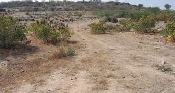 Commercial Land 11 Acre For Resale In Gadwal Mahbubnagar 6455160