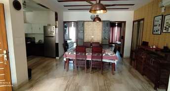 3 BHK Apartment For Rent in Sector 67 Mohali 6455379