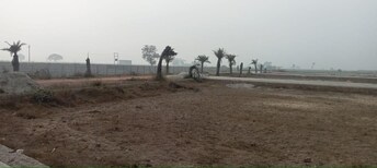 Plot For Resale in Jewar Greater Noida  6455416