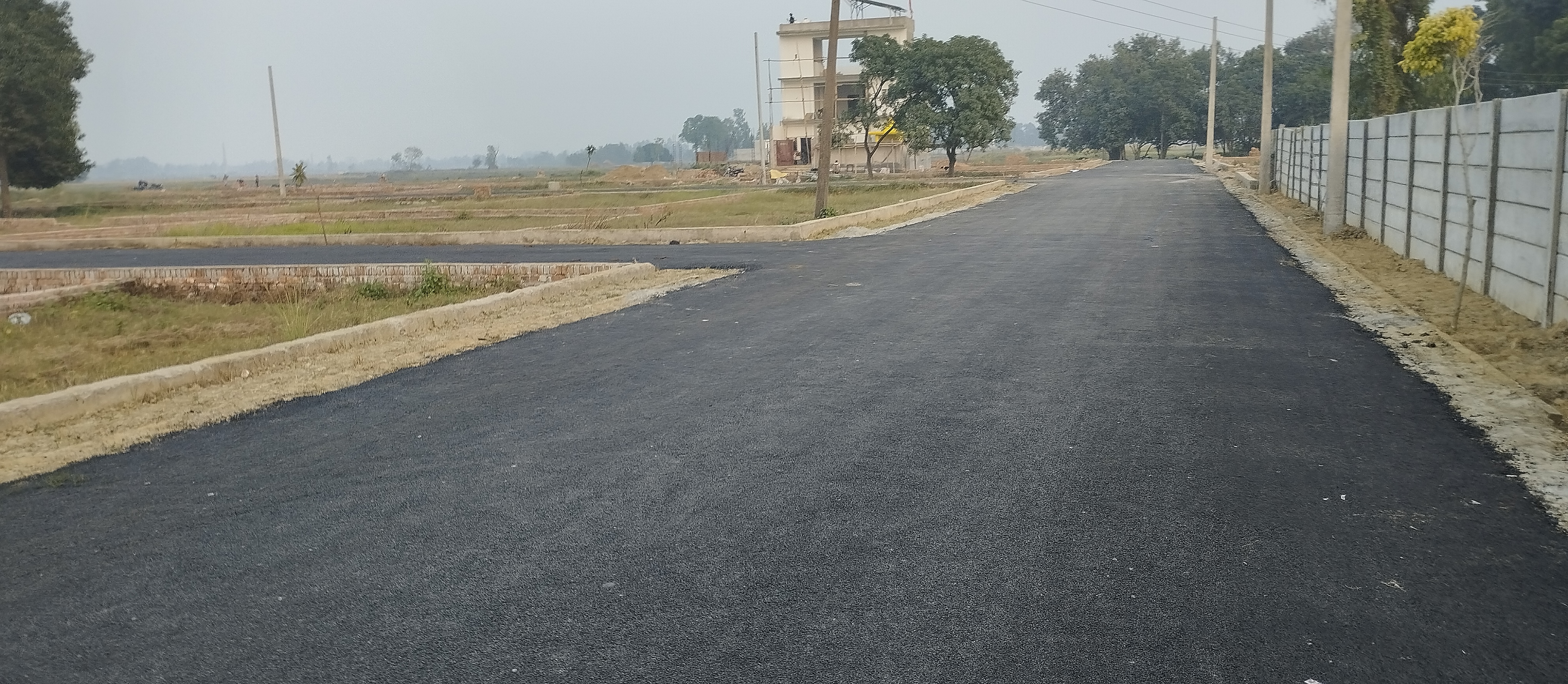 Plot For Resale in Sultanpur Road Lucknow  6455871