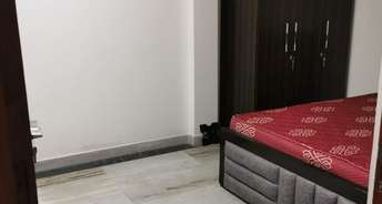 2 BHK Builder Floor For Rent in East Of Kailash Delhi 6456051