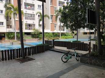 3 BHK Apartment For Rent in Appaswamy Springs Villa Thiruvanmiyur Chennai 6456356