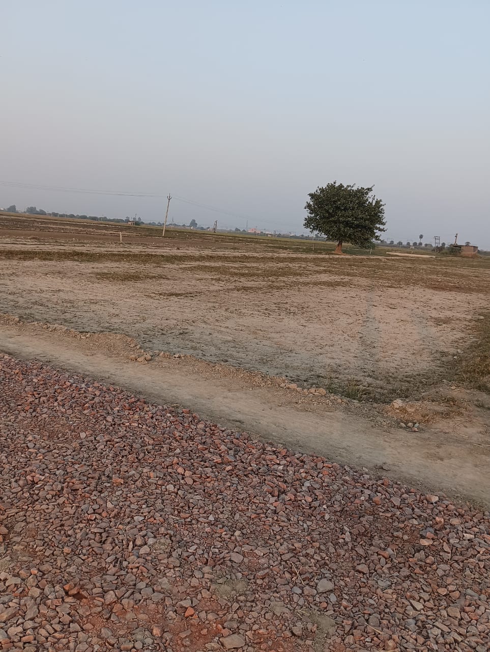 Plot For Resale in Neharpar Faridabad  6457054