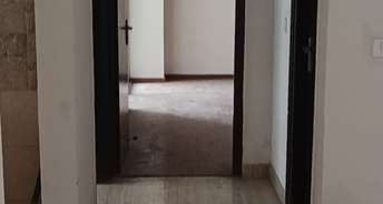 3 BHK Apartment For Rent in Amrapali Kingswood Sector 4, Greater Noida Greater Noida 6457154