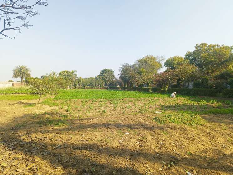 Farm Houses Shahupura