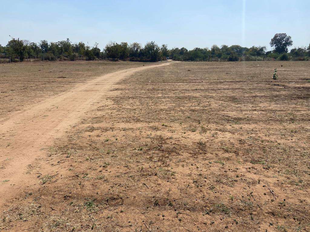 Commercial Land 1080 Sq.Yd. For Resale In Ambawadi Ahmedabad 6457722