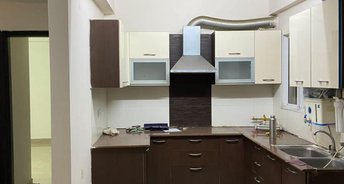 2 BHK Apartment For Rent in The Exotic fresco Sector 137 Noida 6458234