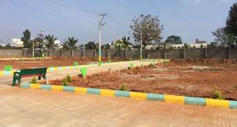  Plot For Resale in Bannerghatta Road Bangalore 6459083