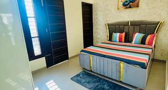 1 BHK Apartment For Rent in Kharar Road Mohali 6459757