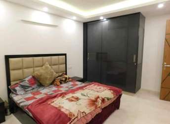 3 BHK Builder Floor For Rent in Palm Residency Chhatarpur Chattarpur Delhi  6459822