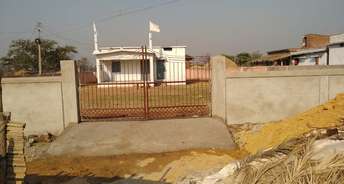  Plot For Resale in Alpha 1 RWA Gn Sector Alpha 1 Greater Noida 5931638