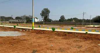  Plot For Resale in Bannerghatta Road Bangalore 6459994