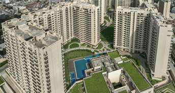 3 BHK Apartment For Resale in Ambience Creacions Sector 22 Gurgaon 6460033