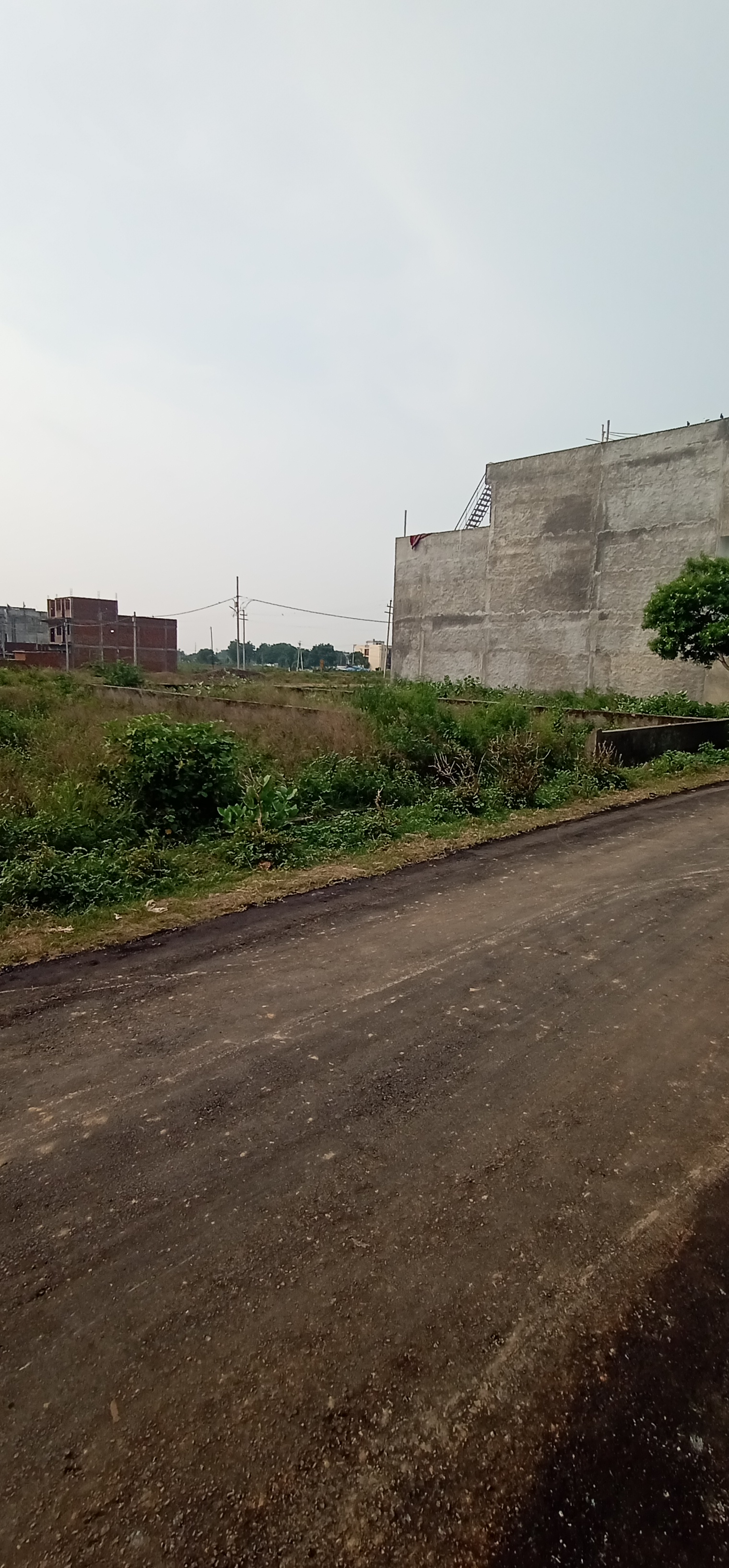  Plot For Resale in Lal Kuan Ghaziabad 6460164