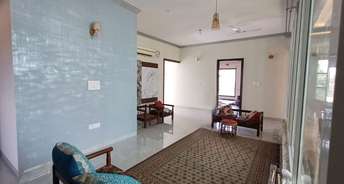 3 BHK Builder Floor For Rent in Phase 3 Mohali 6460222