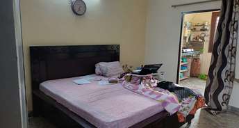 1 BHK Builder Floor For Rent in Phase 4 Mohali 6460447
