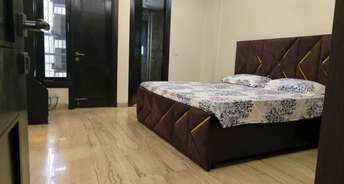 3 BHK Builder Floor For Rent in Hemkunt Colony RWA Greater Kailash 1 Alaknanda Delhi 6460658